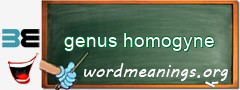 WordMeaning blackboard for genus homogyne